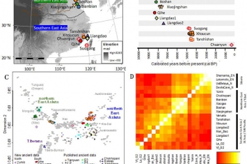 寻根东亚南北方人群 探源华夏族群与文化——创新古DNA技术，揭秘中国史前人群迁徙动态与族群源流