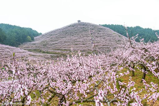 中国古代鬼神传说中的千里眼与顺风耳是兄弟吗?