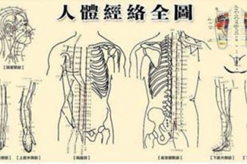 经络辨证简介