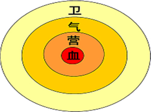 卫气营血辨证介绍