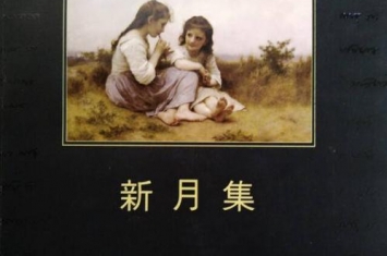 《新月集》作品简介