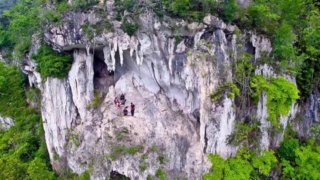 印度尼西亚加里曼丹发现4万年前岩画 目前所知最古老具象艺术品