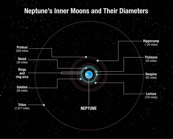 美国科学家发现海王星第7颗内卫星 以希腊神话海怪“马头鱼尾怪”命名