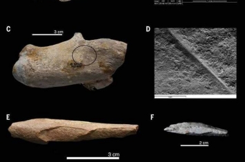 阿尔及利亚峡谷发现的240万年前石器说明古人类踏足北非早于预期