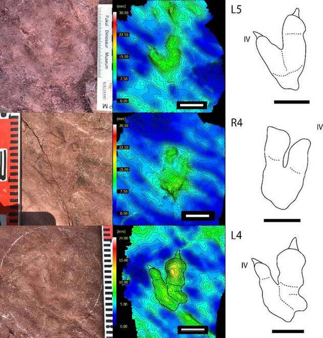 1亿年前晚白垩世早期恐龙留下一串脚印 古生物学家测出了它的时速