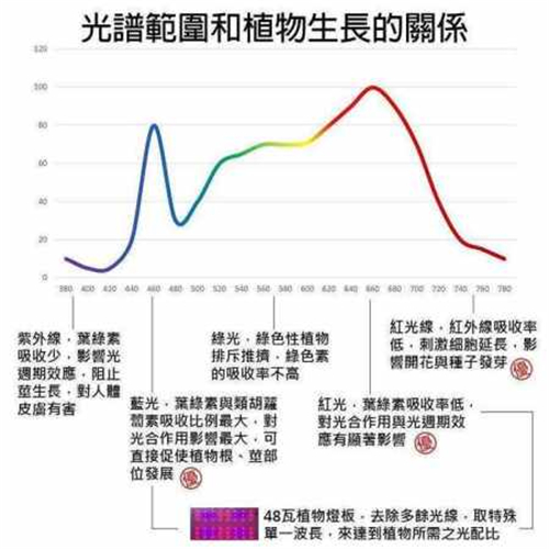 24亿年前地球可能是紫色的