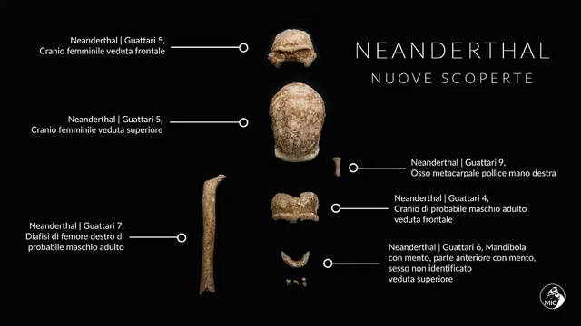 意大利罗马南部的瓜塔里洞穴中出土9个尼安德特人的遗骸化石