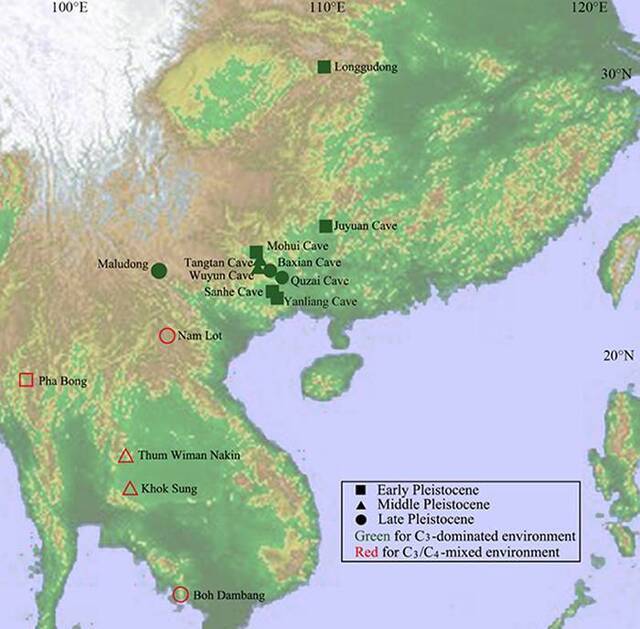 《第四纪科学评论》：华南和东南亚地区更新世亚洲象和剑齿象摄食行为的研究进展