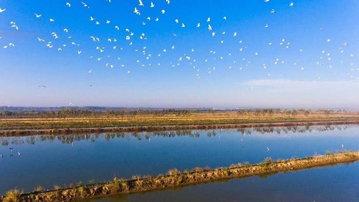 中国黄（渤）海候鸟栖息地列入世界自然遗产名录 世遗总数增至54处