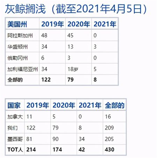 全球灰鲸大规模死亡地球正在接近气候临界点