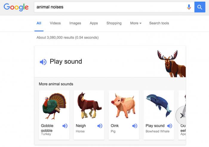 Google隐藏的新功能：只要输入animal noises、animal sounds就能听到动物叫声