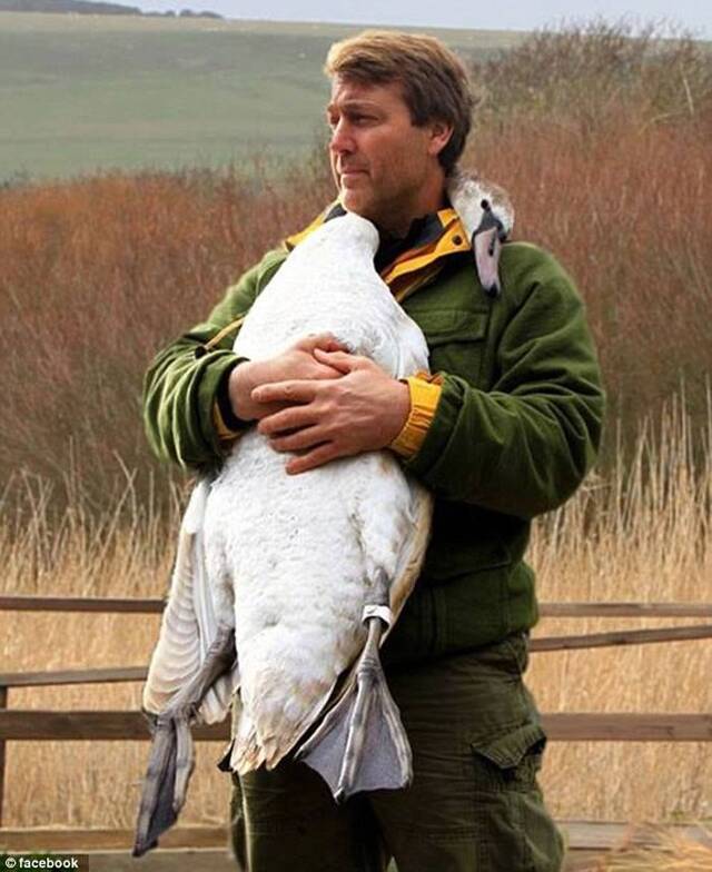 英国电视节目主持人多年前曾救天鹅一命 重返当地被天鹅认出热情拥抱