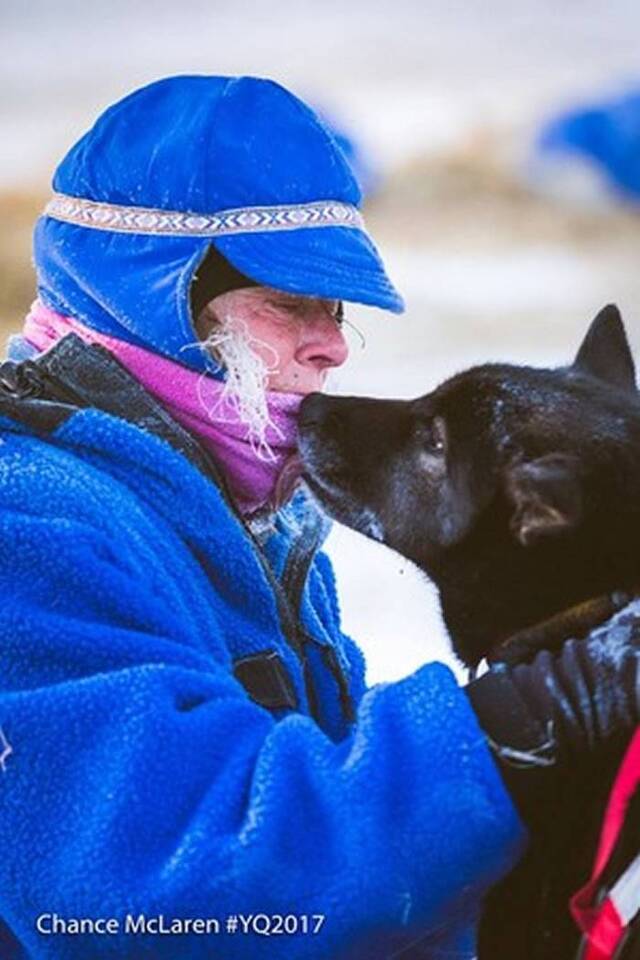 2017国际雪橇犬大赛(Yukon Quest)在加拿大育空省白马市展开