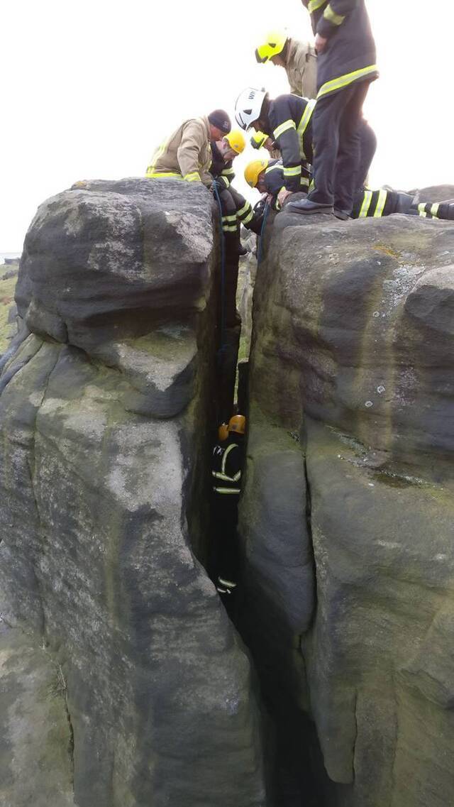 绵羊失足跌落英国托德摩登山区岩壁 身上厚羊毛救命