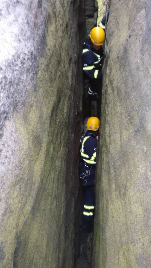 绵羊失足跌落英国托德摩登山区岩壁 身上厚羊毛救命