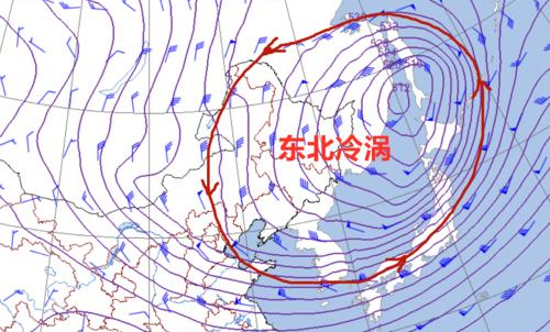 东北冷涡有什么危害