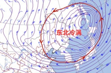 东北冷涡有什么危害