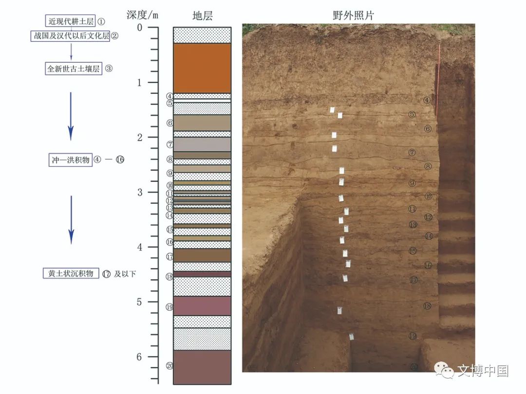 旧新石器时代之交古人如何生活？山东考古有答案——临淄赵家徐姚遗址考古发掘收获