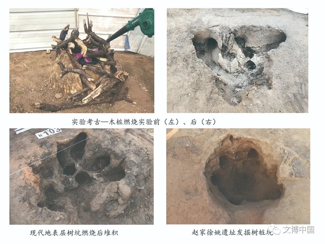 旧新石器时代之交古人如何生活？山东考古有答案——临淄赵家徐姚遗址考古发掘收获