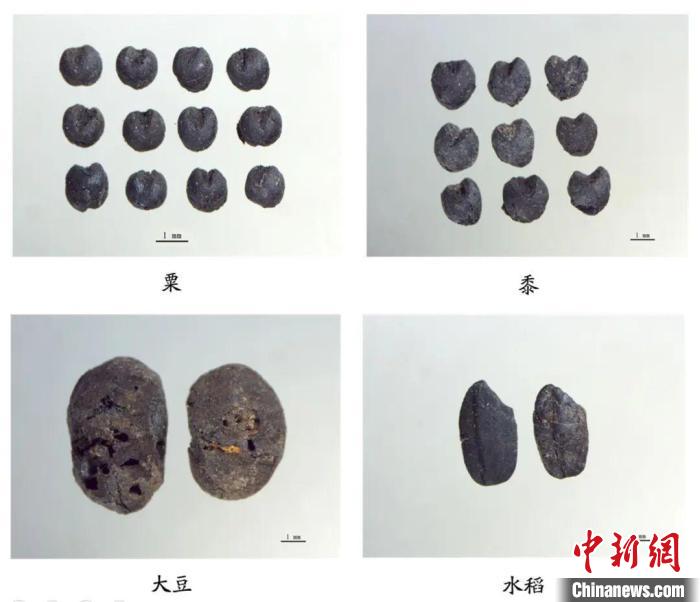 山西发布运城东渠遗址考古成果：或可证实“后稷教民稼穑于稷山”