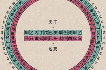 自古以来鼠年都经历过什么