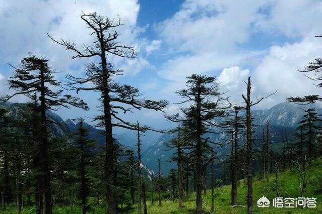 西安有哪些不能错过的旅游景点(西安旅游年卡2022景点明细)