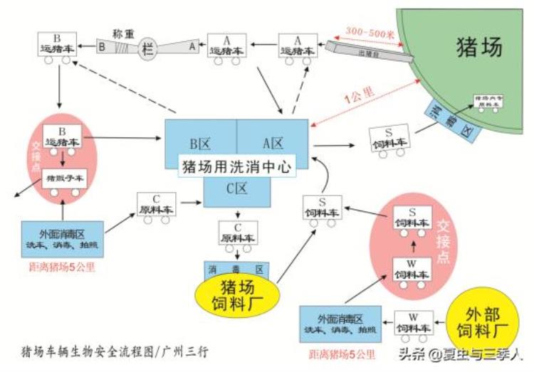 非瘟过后复养成功率,治疗非瘟最快的方法