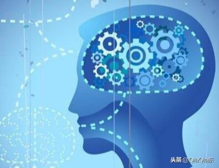 盘点有关人类大脑的10大未解之谜的小说,世界大脑十大未解之谜