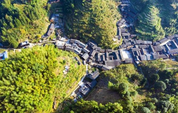 福建有蚊子吗,福建古村丁屋岭为啥千年没有蚊子