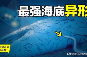 海底异形生物,海底最强异形