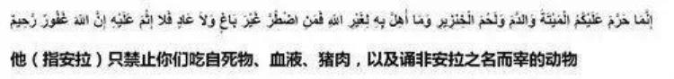 伊斯兰信徒为何不吃猪肉这才是最正确的解读