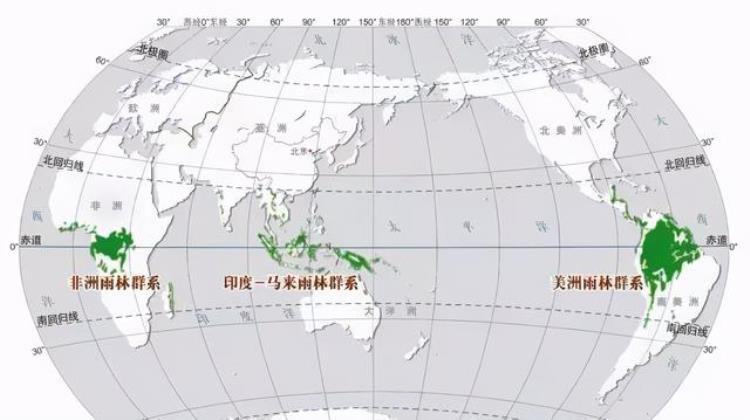 世界上最大的蛇究竟有多大桂花我真不是蛇王(世界上最大的蛇到底有多大)