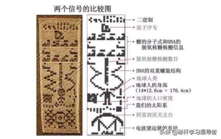 连央视都被忽悠中国最毁三观的顶流凭啥吊打同行40年