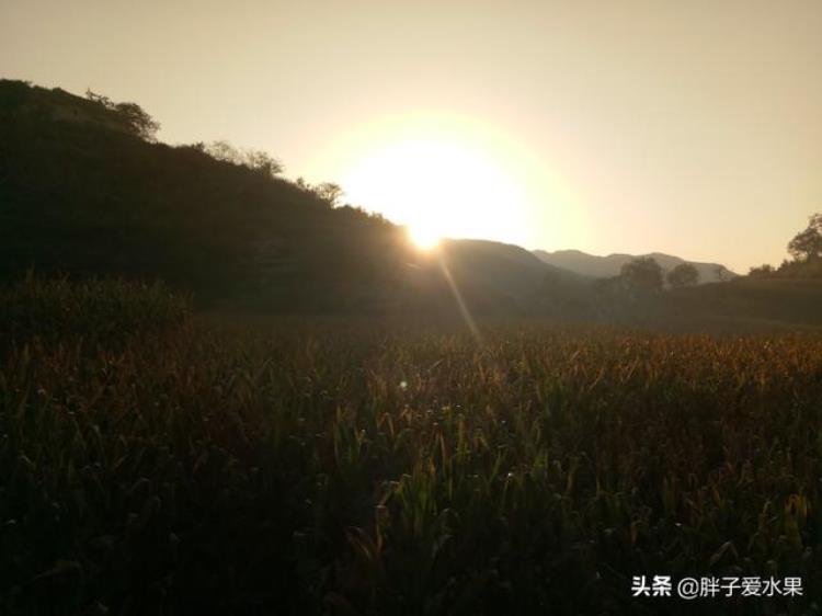 太行山锡崖沟旅游攻略,山西太行山大峡谷旅游攻略