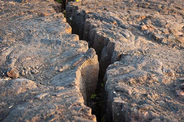 老鼠感知地震,怎样预测地震前兆