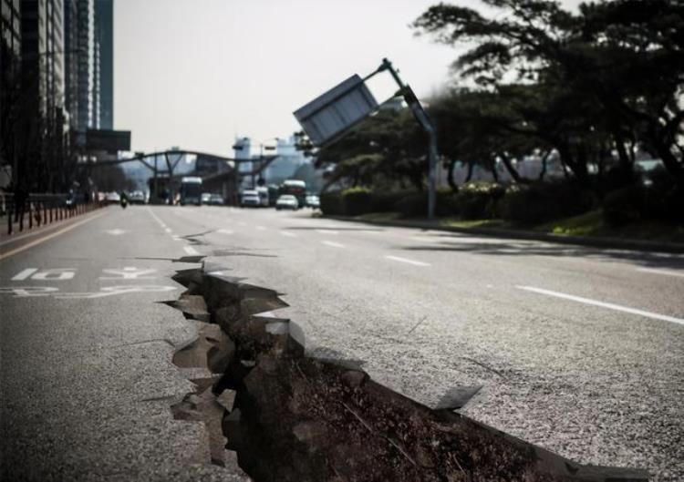 老鼠感知地震,怎样预测地震前兆