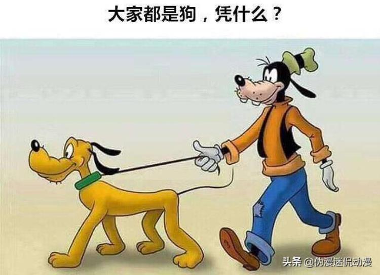 小时候经典动漫,00后曾经的动漫经典