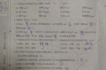 小学三年级语文期中考试题,三年级语文期中必考题