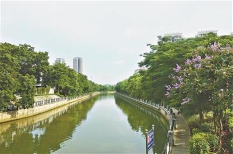 清澈的河湖回来了还要建设千里碧道吗,重塑河湖生态美景