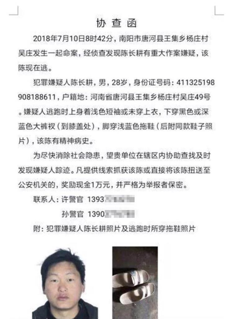 唐县最近刑事案件,河南唐河杀人案