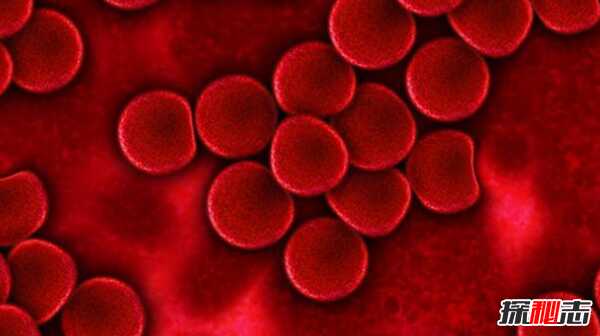 哪种血型最好?关于血型的18大真实信息