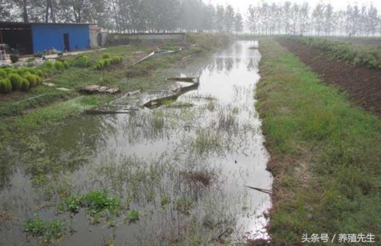 龙虾养殖场地建设,龙虾养殖基地怎么搞