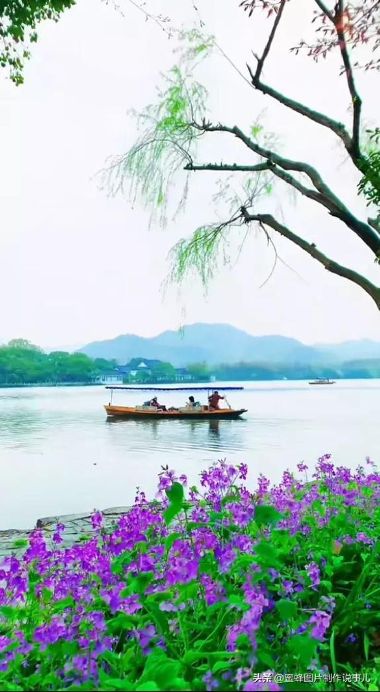 鲜花盛开的美景,绿树成荫鲜花盛开风景优美