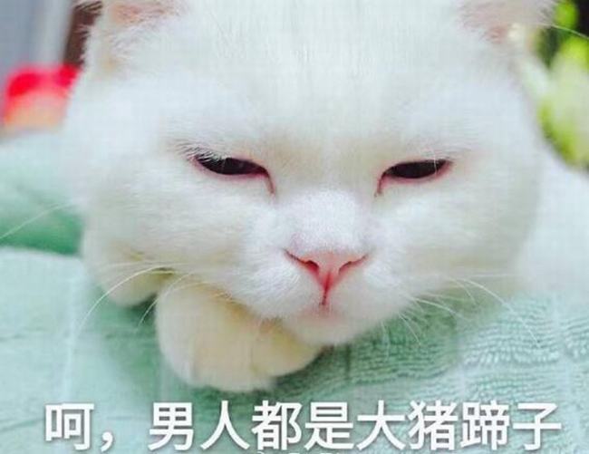 大猪蹄子什么意思?为什么说男人都是大猪蹄子