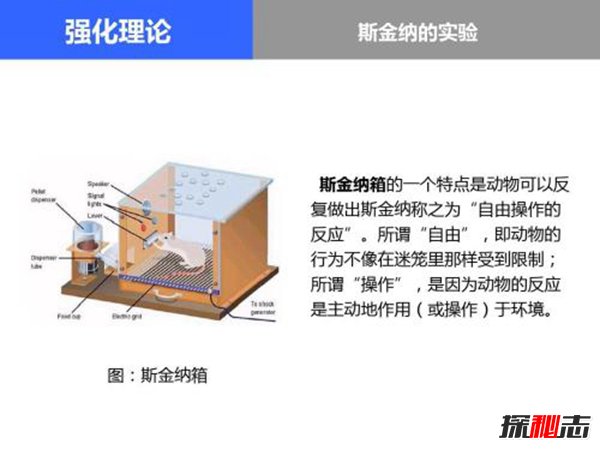 康托尔悖论如何解决 康托无穷集合论