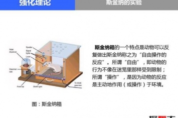 斯金纳箱的恐怖之处 斯金纳箱说明了什么（人性）