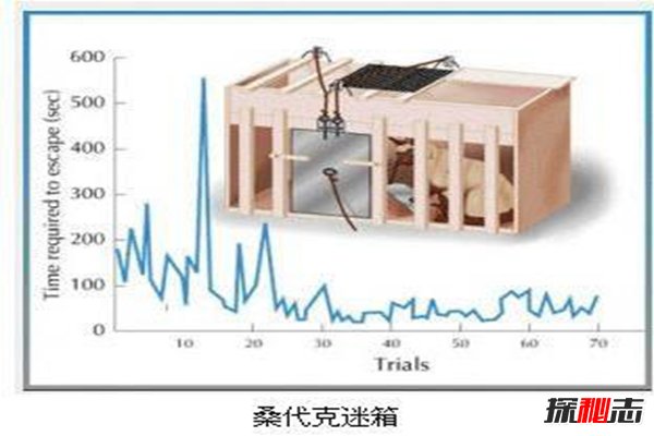 桑代克饿猫迷笼实验是什么？揭秘学习的本质(附结论)