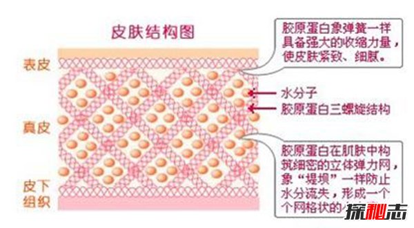 长期喝胶原蛋白的危害 这三大危害影响身体