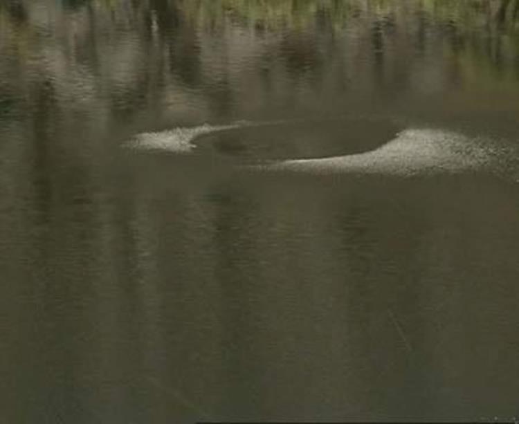 水怪奇谭黑暗深水中的它们在哪,免费看尼斯湖水怪之深水传说