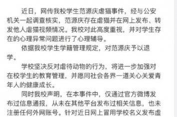 为什么虐猫不犯法,虐猫事件我们应该怎么劝说